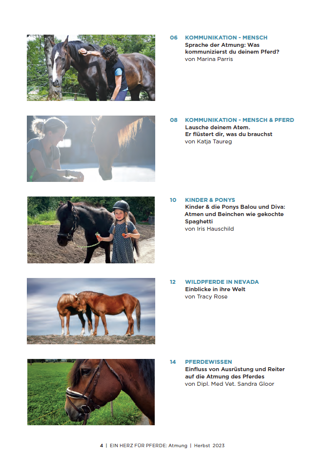 Inhaltsverzeichnis vom Magazin, Pferdefotos und Beitragstitel