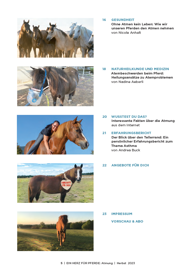 Inhaltsverzeichnis vom Magazin, Pferdefotos und Beitragstitel