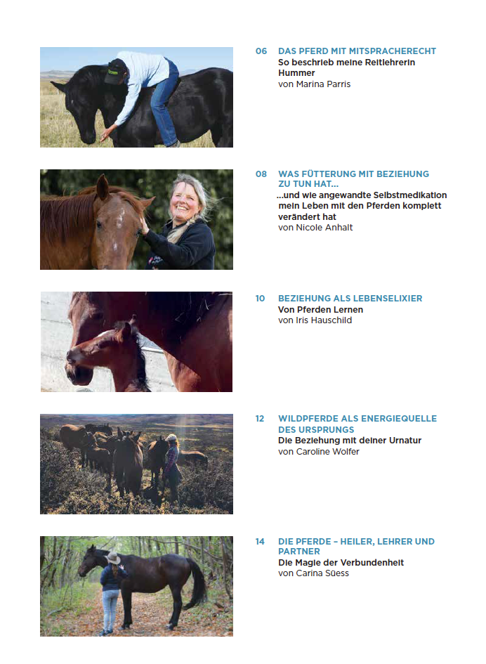 Inhaltsverzeichnis vom Magazin, Pferdefotos und Beitragstitel