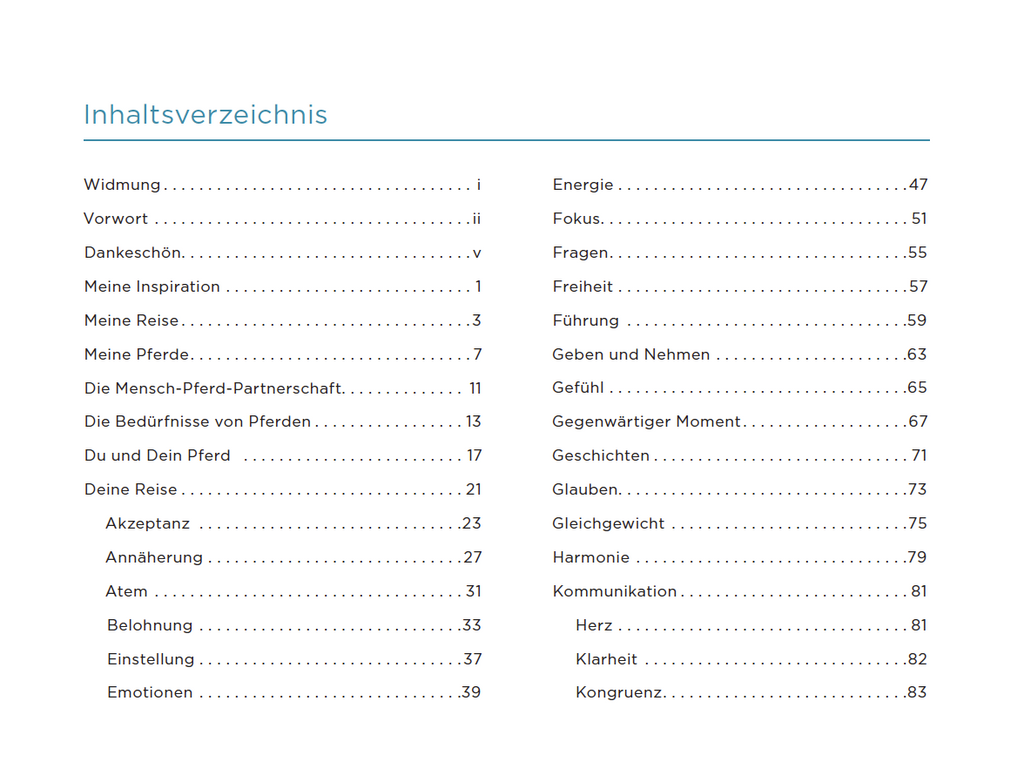 Table of contents for a book or document in German with chapter titles and page numbers.
