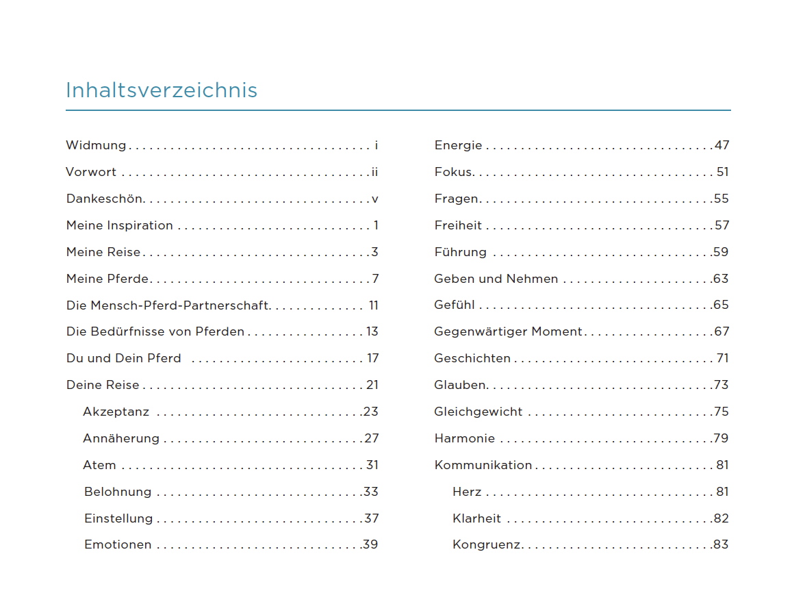 Table of contents for a book or document in German with chapter titles and page numbers.
