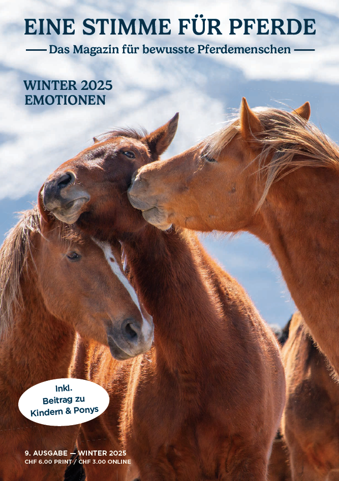 Magazine cover featuring three horses with a mountainous background and text about a horse magazine.