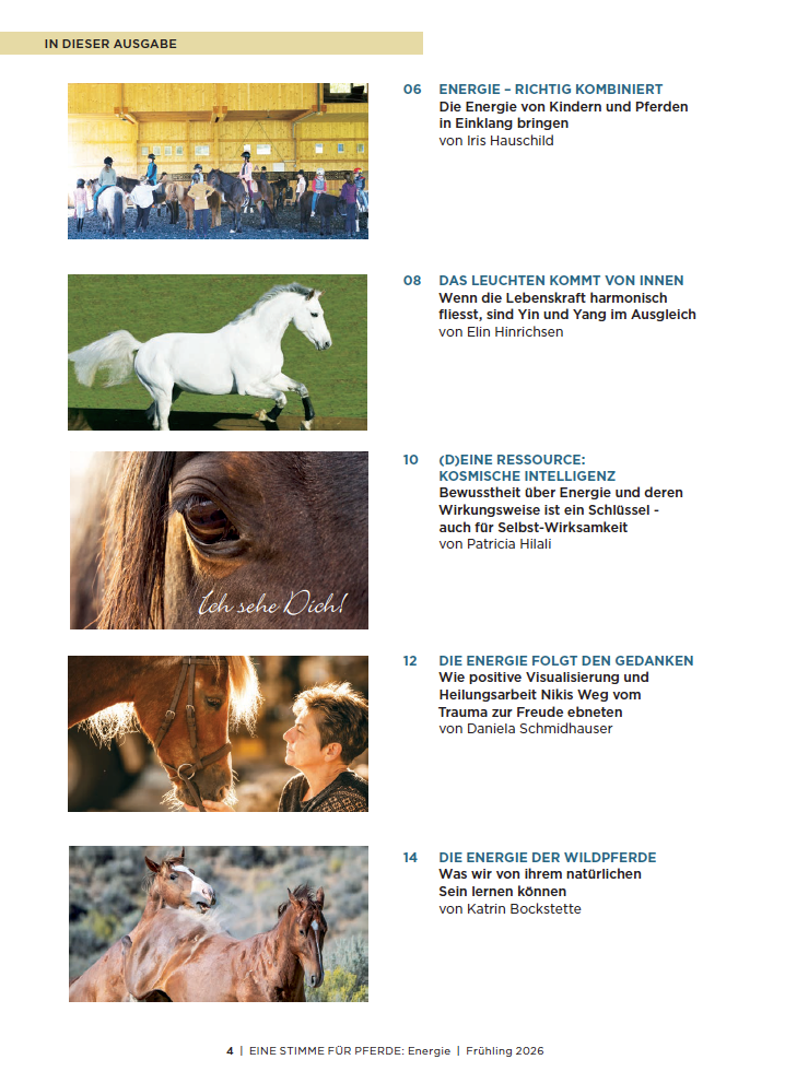 Eine Stimme für Pferde - Ausgabe 10 (Energie) - Print