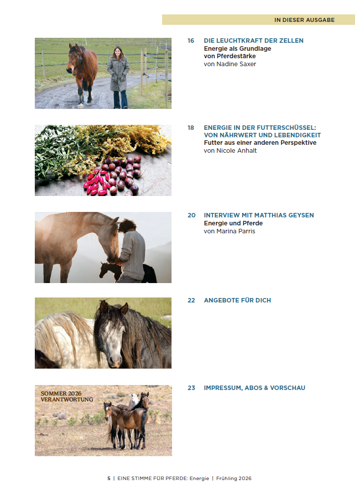 Eine Stimme für Pferde - Ausgabe 10 (Energie) - Print