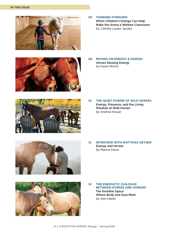A Voice for Horses - Issue 4 (Energy) - Online