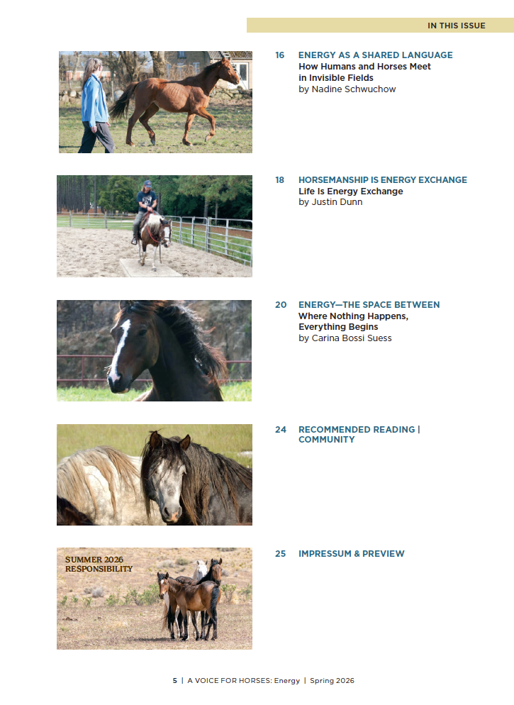 A Voice for Horses - Issue 4 (Energy) - Online