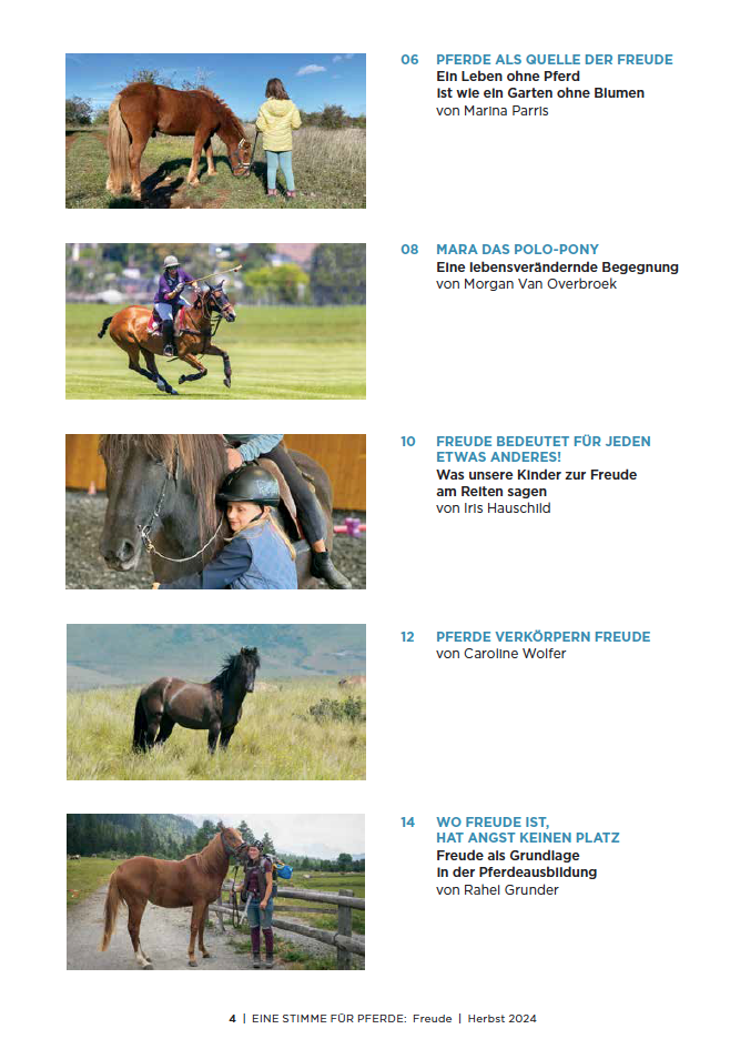 Inhaltsverzeichnis vom Magazin, Pferdefotos und Beitragstitel