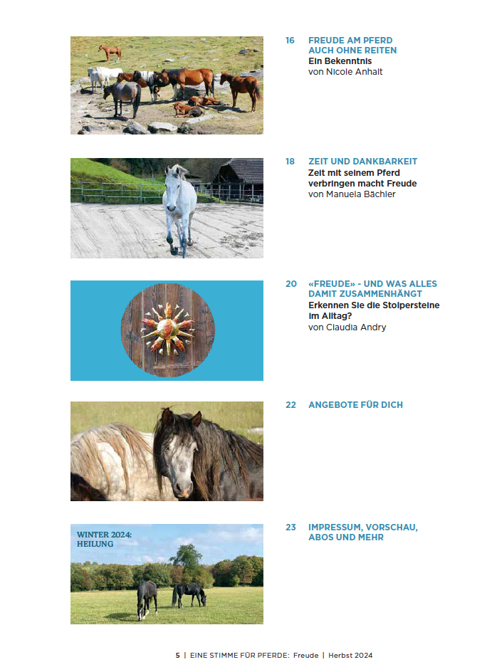 Inhaltsverzeichnis vom Magazin, Pferdefotos und Beitragstitel