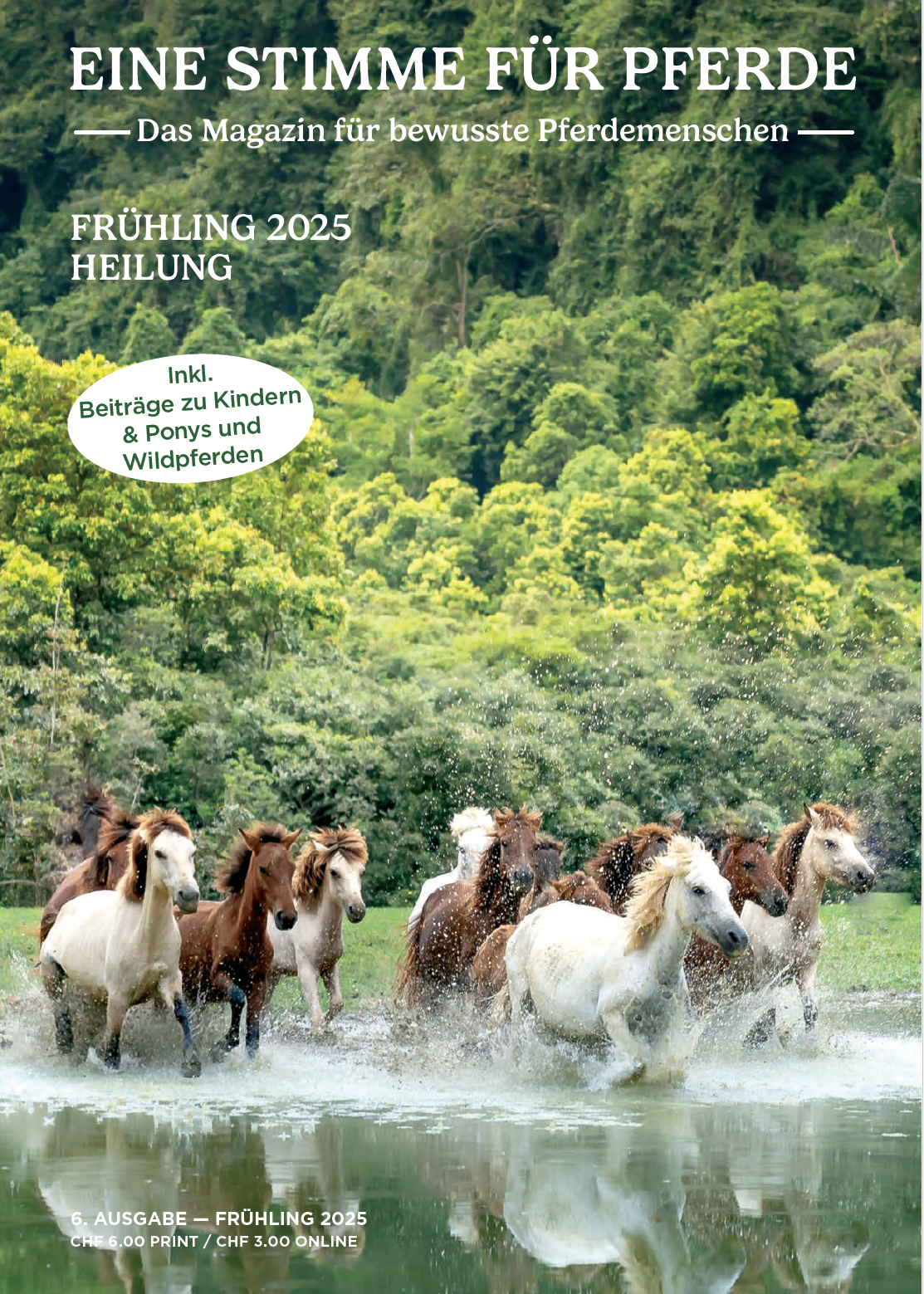 Magazin Eine Stimme für Pferde, Frühling 2025, Thema Heilung, Wildpferde traben durch das Wasser