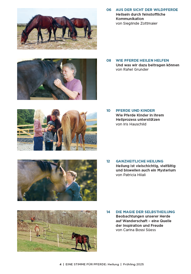 Inhaltsverzeichnis vom Magazin, Pferdefotos und Beitragstitel