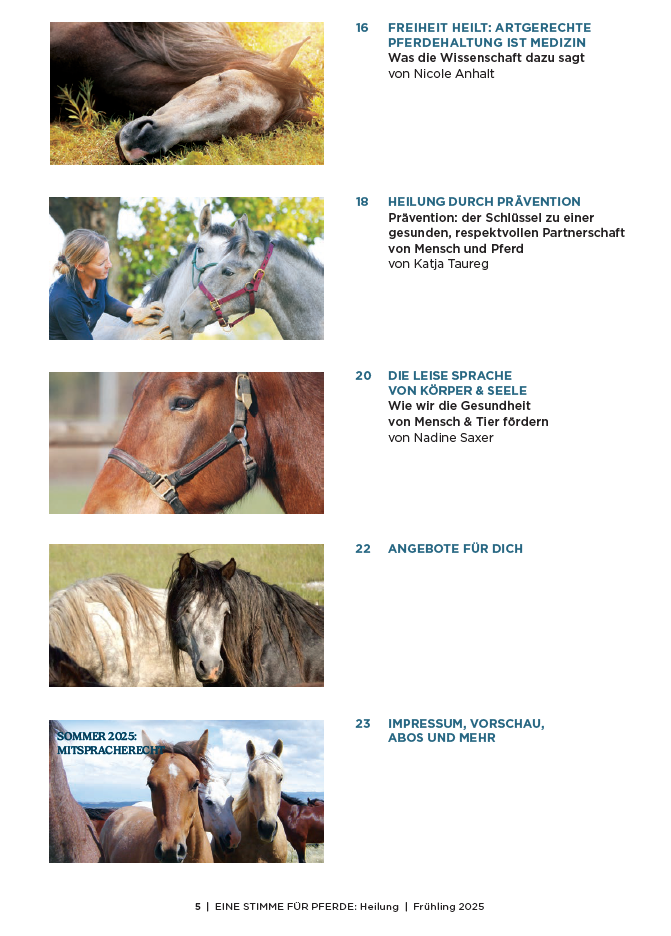 Inhaltsverzeichnis vom Magazin, Pferdefotos und Beitragstitel