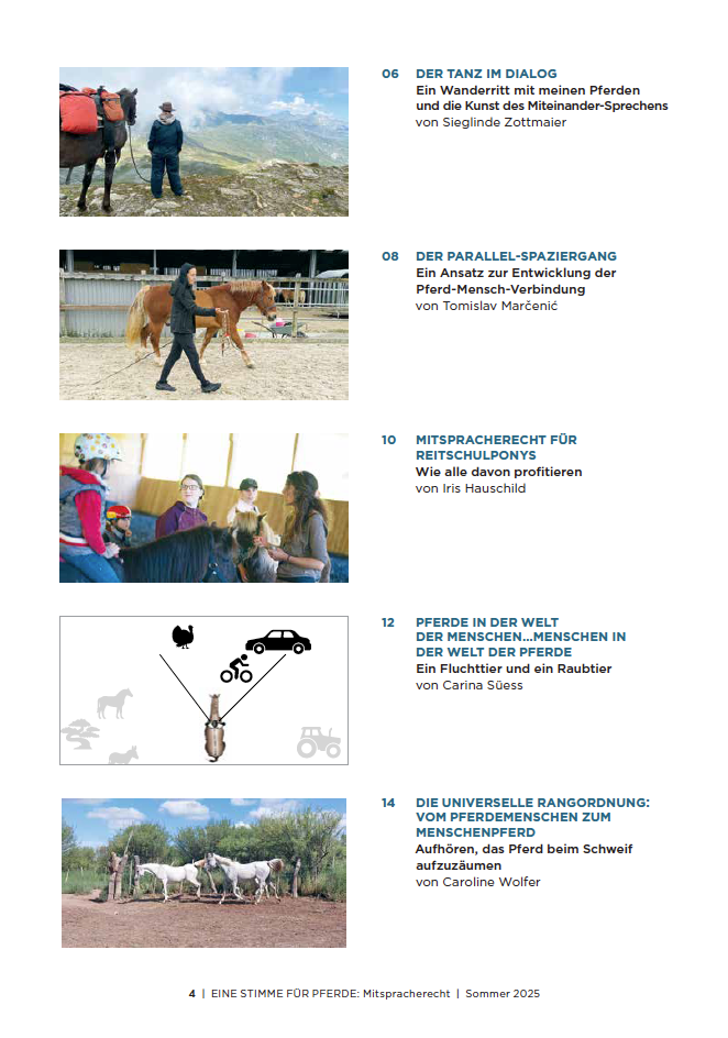 Inhaltsverzeichnis vom Magazin, Pferdefotos und Beitragstitel