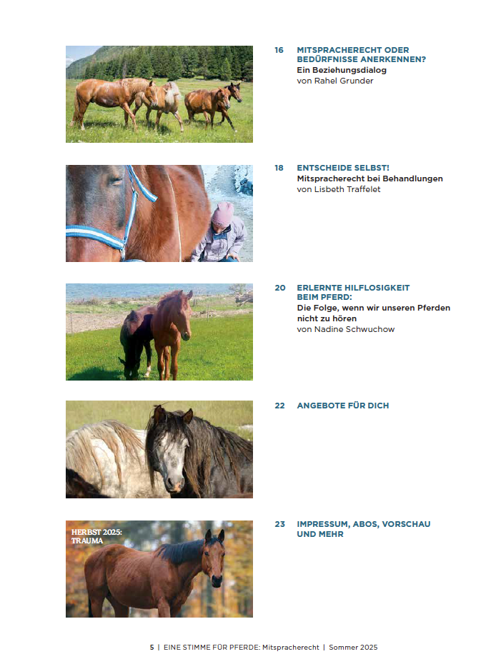 Inhaltsverzeichnis vom Magazin, Pferdefotos und Beitragstitel