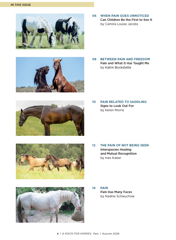 A Voice for Horses - Issue 6 (Pain) - Online