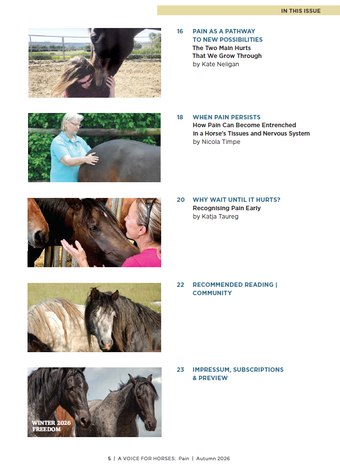 A Voice for Horses - Issue 6 (Pain) - Online