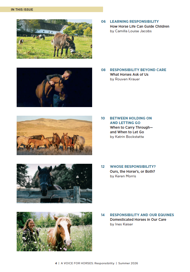 Magazine table of contents for the horse-related articles on a white background