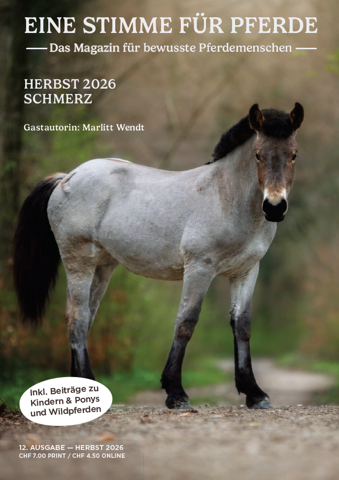 magazine cover picture of horse