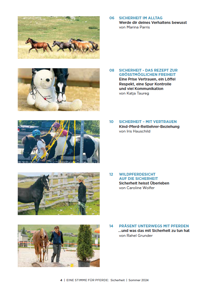 Inhaltsverzeichnis vom Magazin, Pferdefotos und Beitragstitel