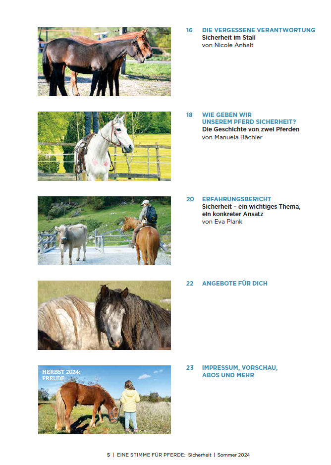 Inhaltsverzeichnis vom Magazin, Pferdefotos und Beitragstitel