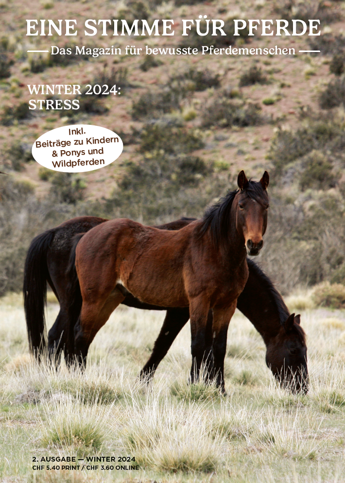 Magazin Eine Stimme für Pferde, Winter 2024, Thema Stress, zwei Wildpferde am Grasen