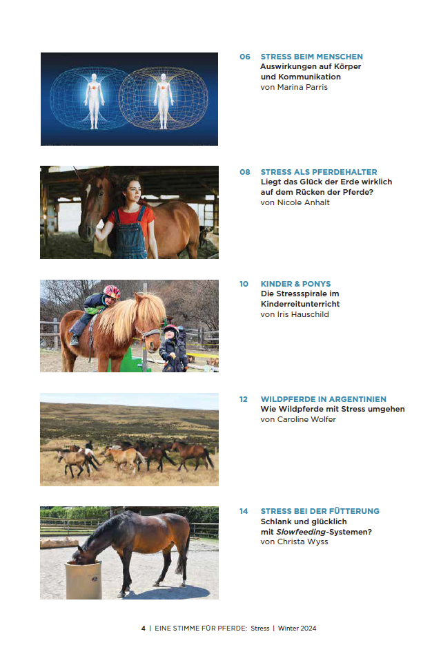 Inhaltsverzeichnis vom Magazin, Pferdefotos und Beitragstitel