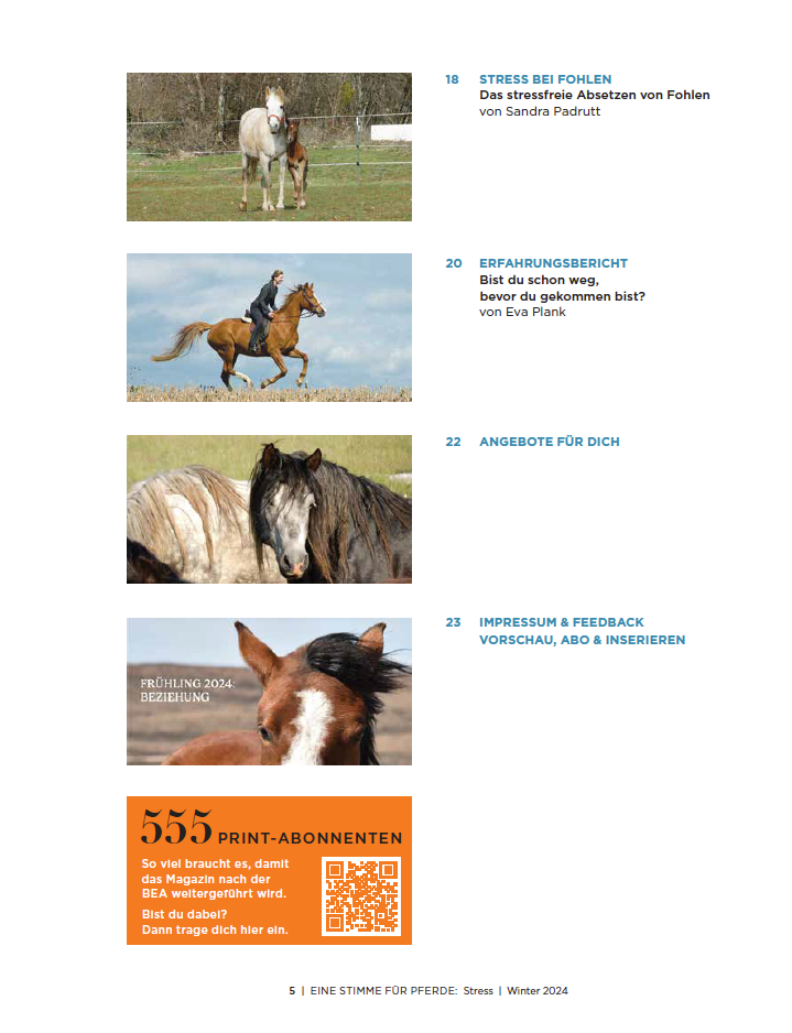 Inhaltsverzeichnis vom Magazin, Pferdefotos und Beitragstitel