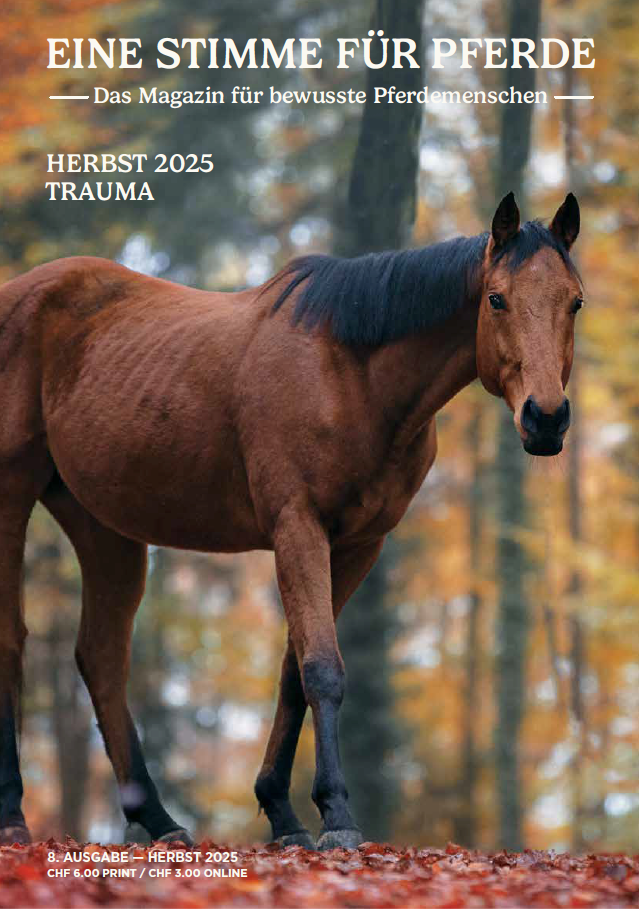 Pferd steht im Wald mit Herbstblätter überall, Magazin-Deckblatt