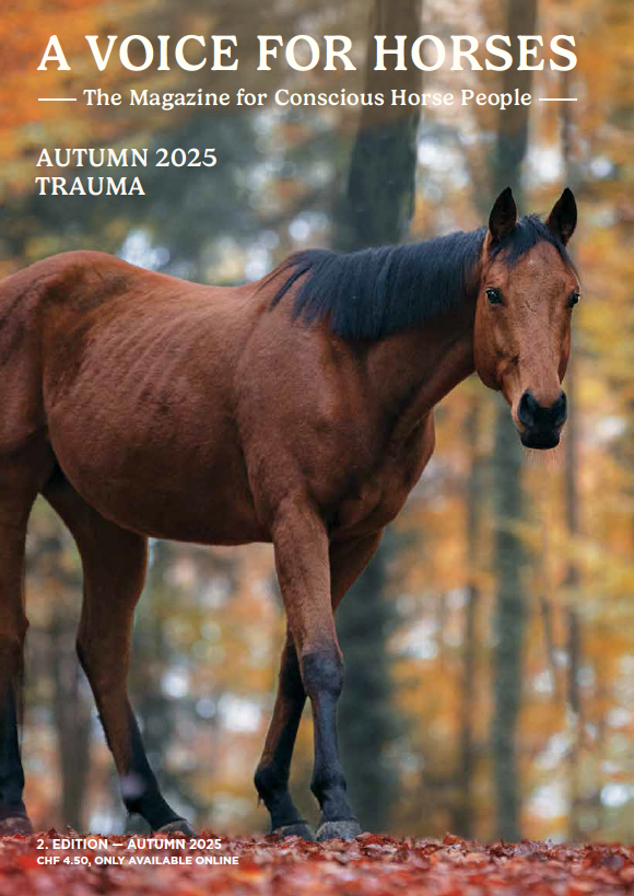 Magazine cover featuring a horse in a forest with 'A Voice for Horses' text.