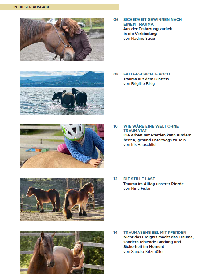 Inhaltsverzeichnis vom Magazin, Pferdefotos und Beitragstitel