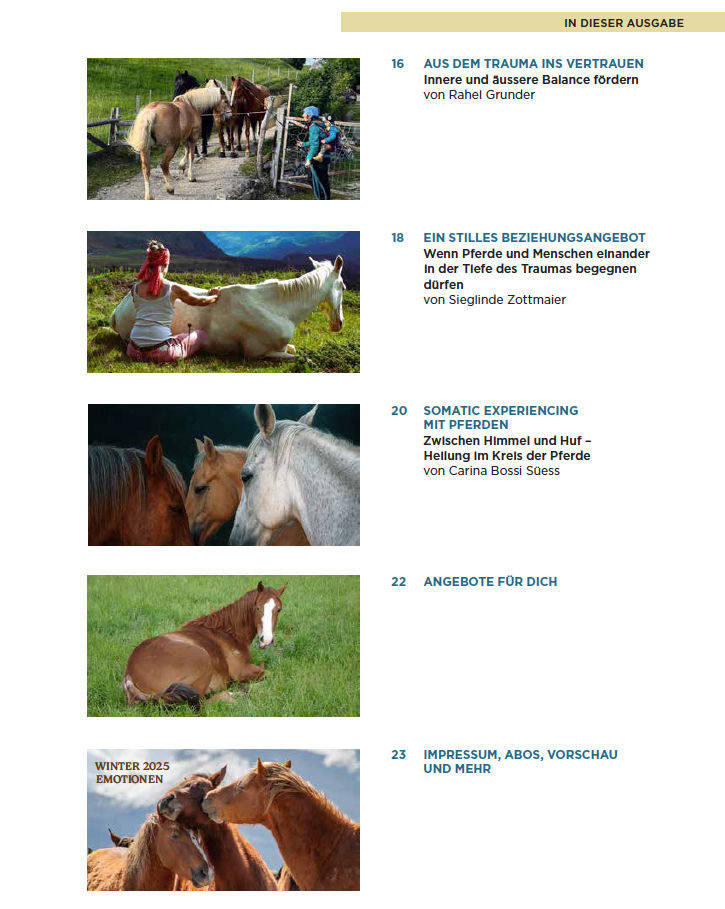 Inhaltsverzeichnis vom Magazin, Pferdefotos und Beitragstitel