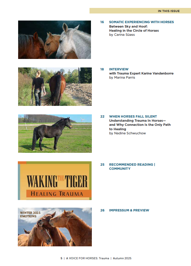 Magazine table of contents with horse-related content and images of horses and a person.